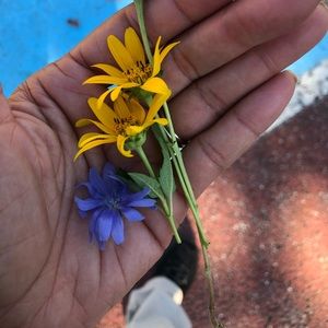 Meet your Posher, Linda